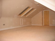 Velux window options